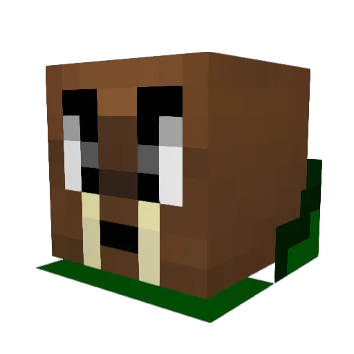 C0nC3r Minecraft avatar head, 3D render