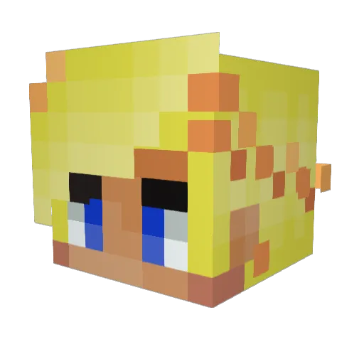 C0o0kie Minecraft avatar head, 3D render