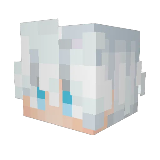 C0okiez7 Minecraft avatar head, 3D render