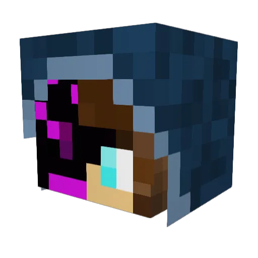 C0rr_ Minecraft avatar head, 3D render