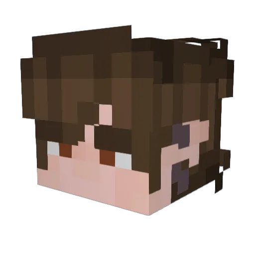 C0rvid_N1mbus Minecraft avatar head, 3D render
