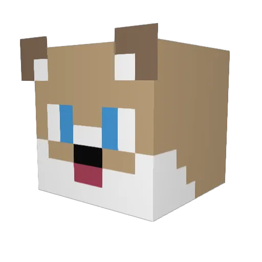 C0upon Minecraft avatar head, 3D render