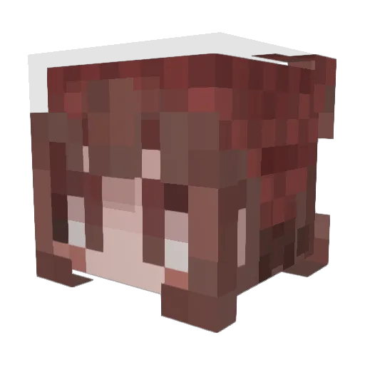 C0zm0_XD Minecraft avatar head, 3D render