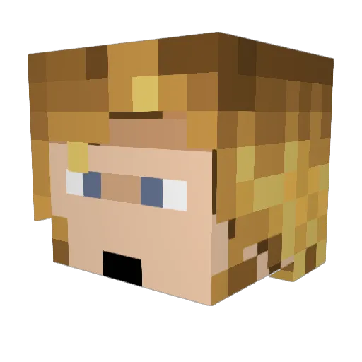 C10H15N1 Minecraft avatar head, 3D render