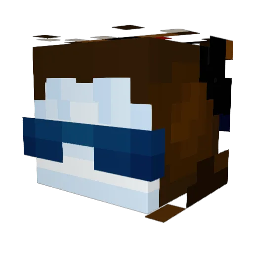 C10WD Minecraft avatar head, 3D render