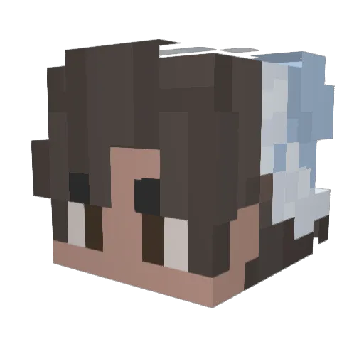 C11AY_S Minecraft avatar head, 3D render