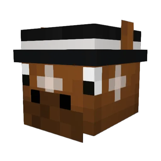C17H35COOH Minecraft avatar head, 3D render