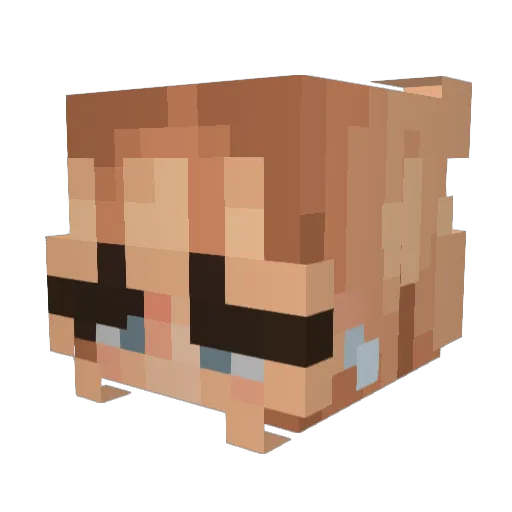 C1TR1N3 Minecraft avatar head, 3D render
