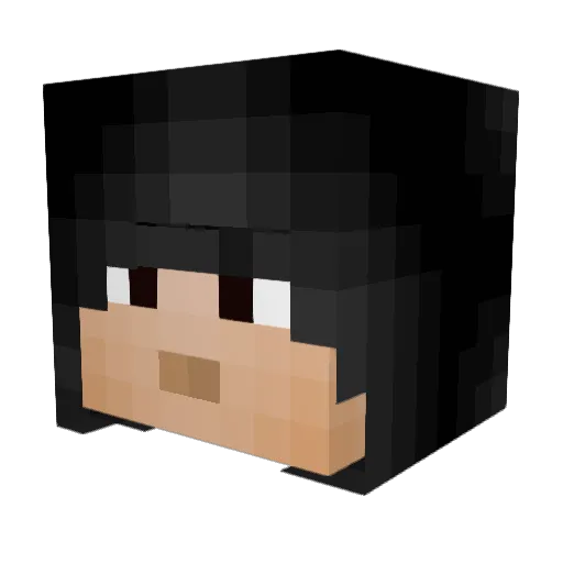 C2565 Minecraft avatar head, 3D render