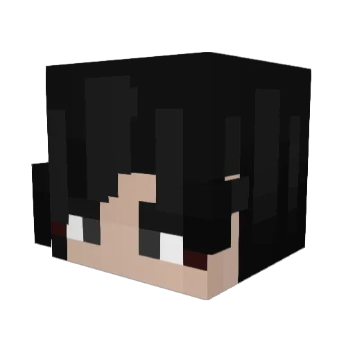 C2H5OC2H5tooBad Minecraft avatar head, 3D render