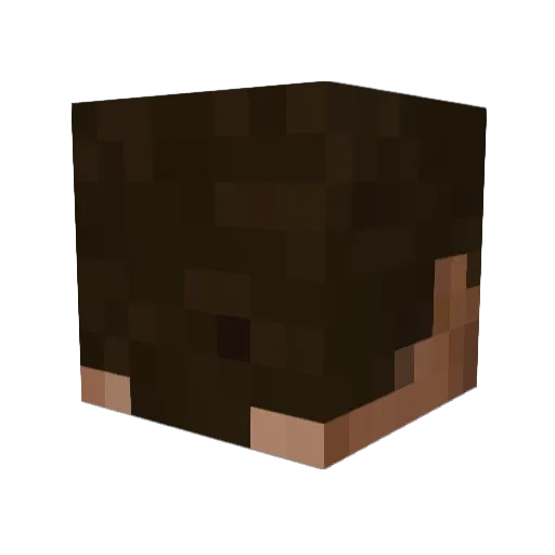 C2good Minecraft avatar head, 3D render