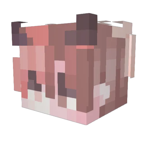 C3D4D Minecraft avatar head, 3D render