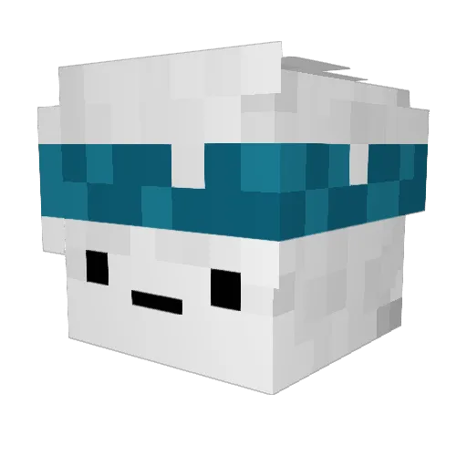C3S4R95 Minecraft avatar head, 3D render