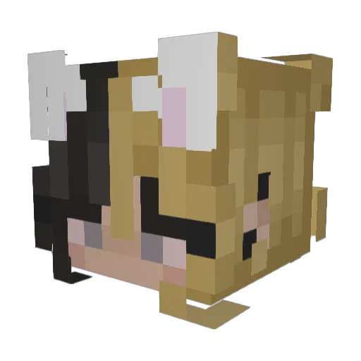 C3lin09 Minecraft avatar head, 3D render