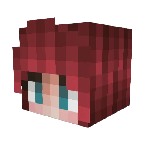 C4PNN Minecraft avatar head, 3D render