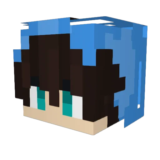 C4_Willi Minecraft avatar head, 3D render