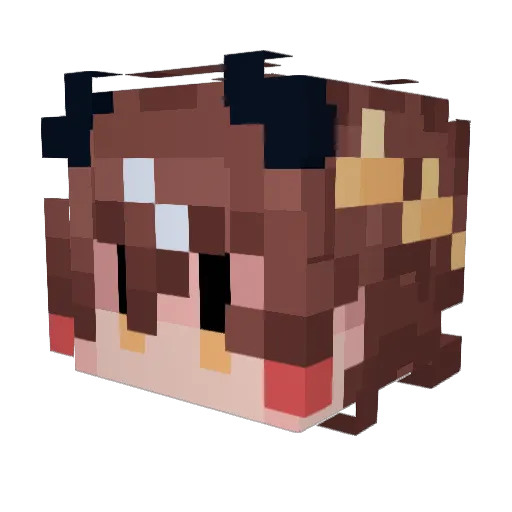C4ctuss_ Minecraft avatar head, 3D render