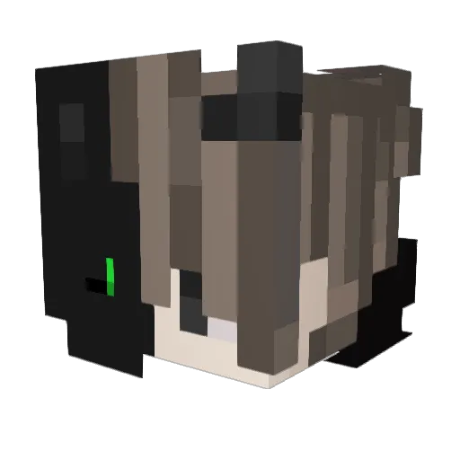 C4j Minecraft avatar head, 3D render