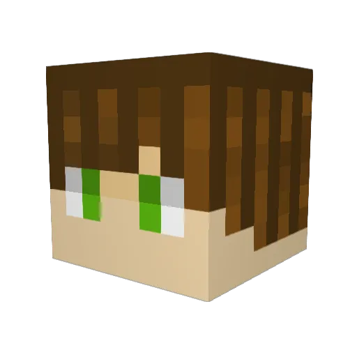 C4r_F0ur Minecraft avatar head, 3D render