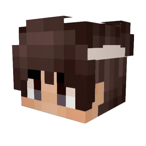 C4rtoons_Plural Minecraft avatar head, 3D render