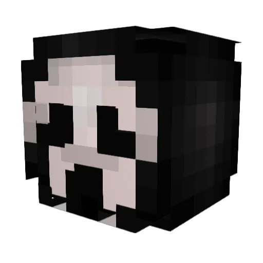 C4sinoDuck Minecraft avatar head, 3D render