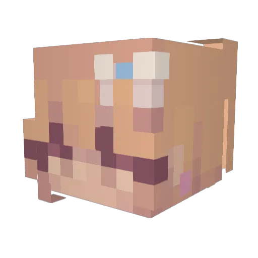 C4tEye Minecraft avatar head, 3D render