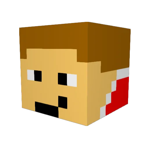 C6Army_Tehmbee Minecraft avatar head, 3D render