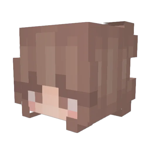 C6_P7 Minecraft avatar head, 3D render