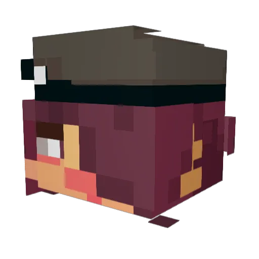 C8NOM Minecraft avatar head, 3D render