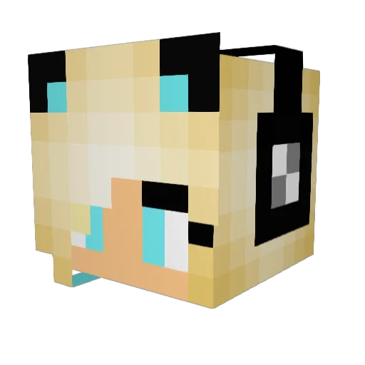 C9Sarah Minecraft avatar head, 3D render