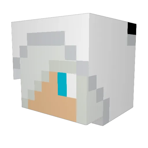 C9Space Minecraft avatar head, 3D render