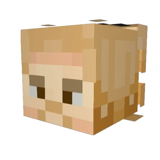 CA1R0_ Minecraft avatar head, 3D render