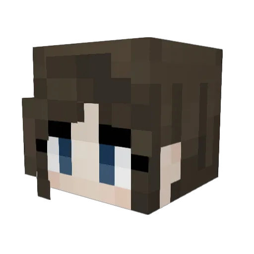 CAECAE_ Minecraft avatar head, 3D render