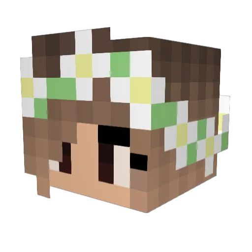 CAILY123 Minecraft avatar head, 3D render