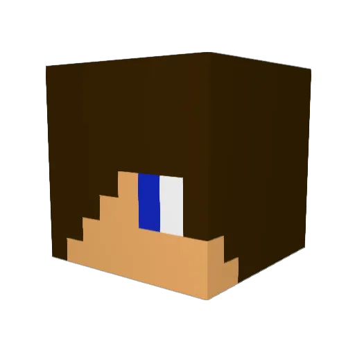 CALIDRAGON22 Minecraft avatar head, 3D render