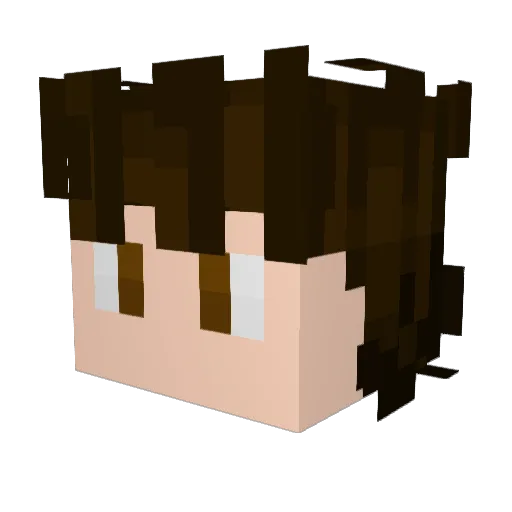 CALZ0ID Minecraft avatar head, 3D render