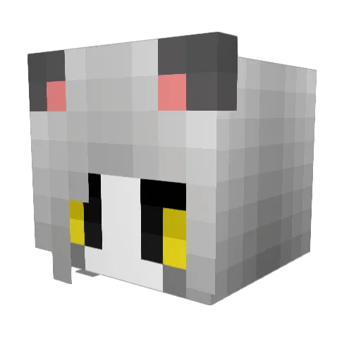 CAMFAM2018 Minecraft avatar head, 3D render