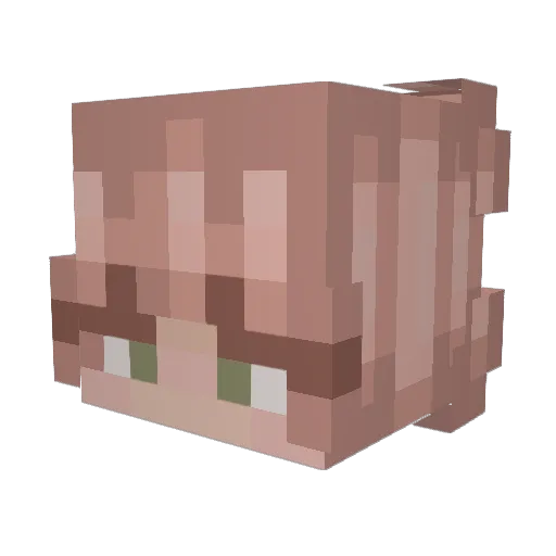 CAMILLASHE Minecraft avatar head, 3D render