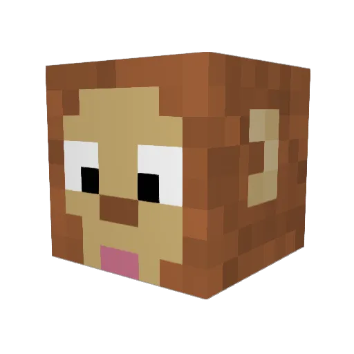 CAMMYTOE Minecraft avatar head, 3D render