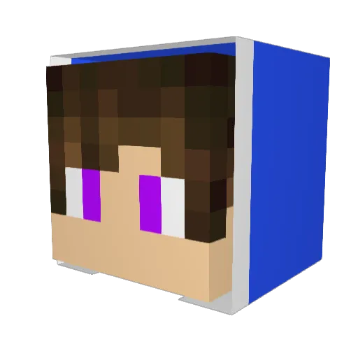 CAMUS136 Minecraft avatar head, 3D render