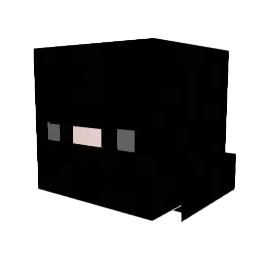 CANCERDEPANCREAS Minecraft avatar head, 3D render