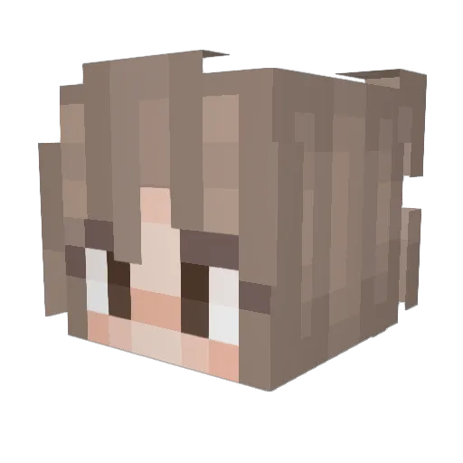 CANDYCAKEPLAYER Minecraft avatar head, 3D render