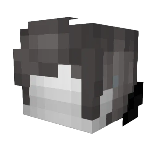 CAPSLOCKLOVER Minecraft avatar head, 3D render