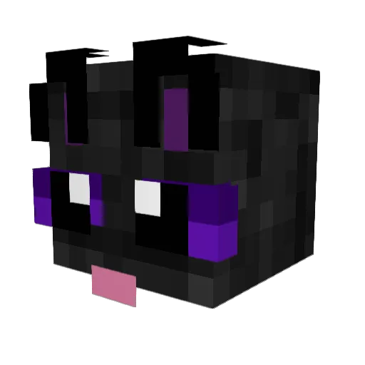 CAPTAINCRUNCH007 Minecraft avatar head, 3D render