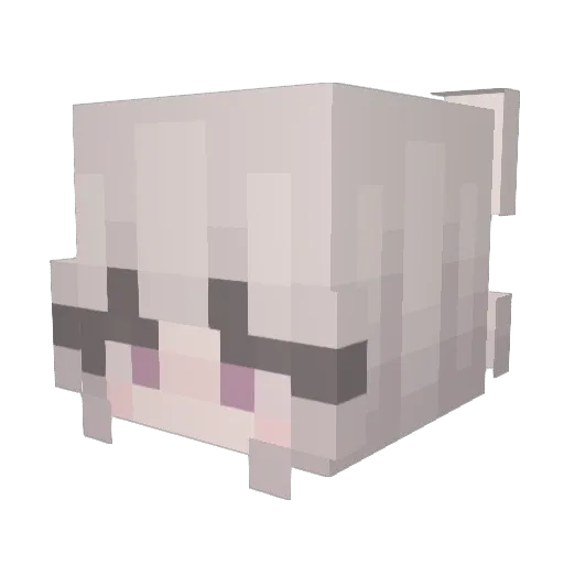 CARD2018 Minecraft avatar head, 3D render
