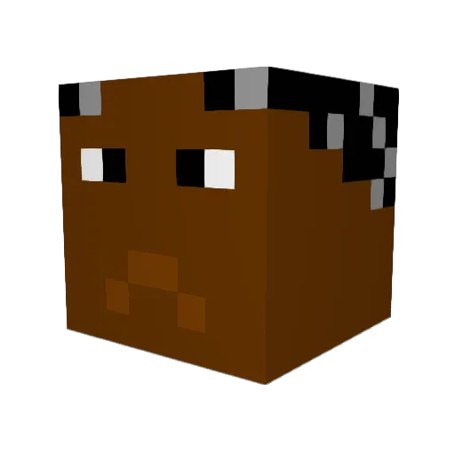 CARLSIGMA69 Minecraft avatar head, 3D render