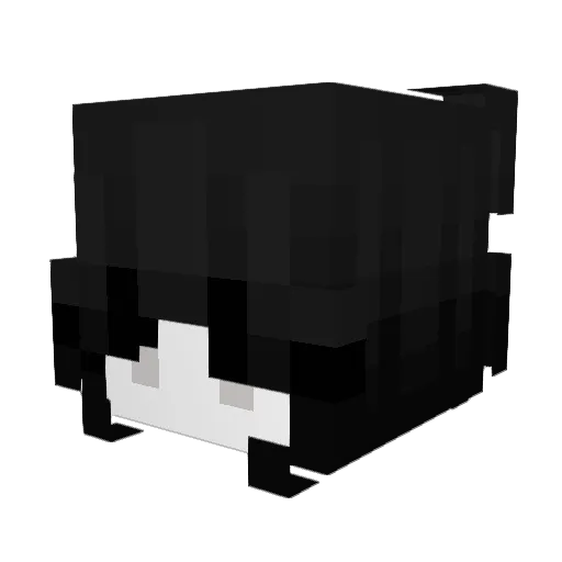 CARNYY0 Minecraft avatar head, 3D render