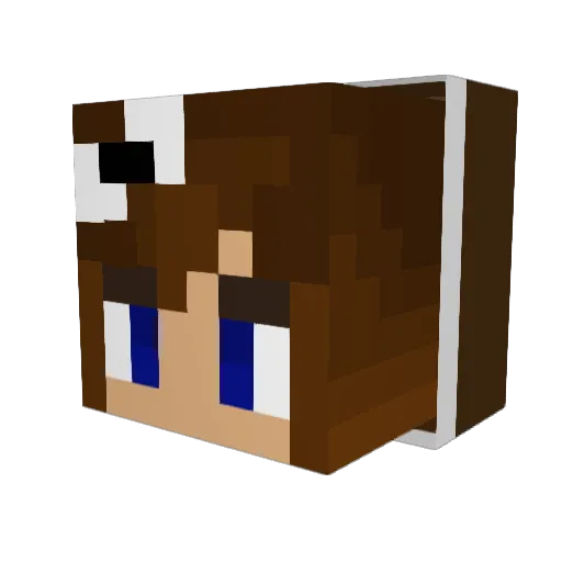 CAROLANYA Minecraft avatar head, 3D render