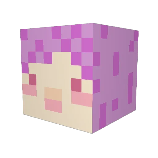 CAT0307 Minecraft avatar head, 3D render