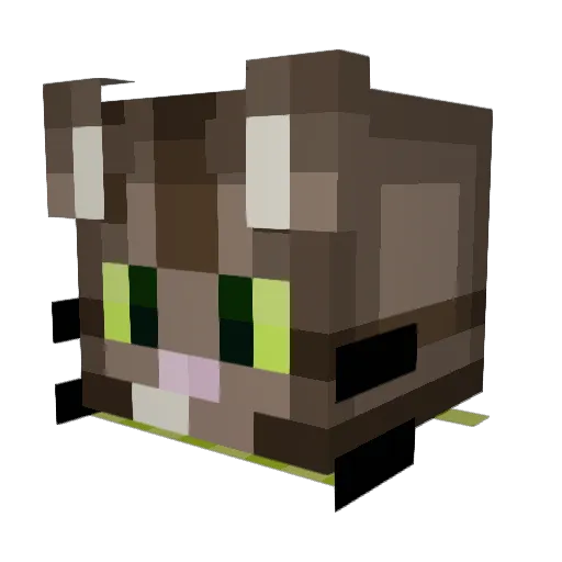 CATBOYCOOLYT Minecraft avatar head, 3D render